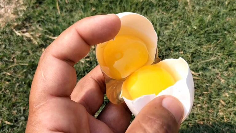 14 Spiritual Meanings of Double Yolk Eggs