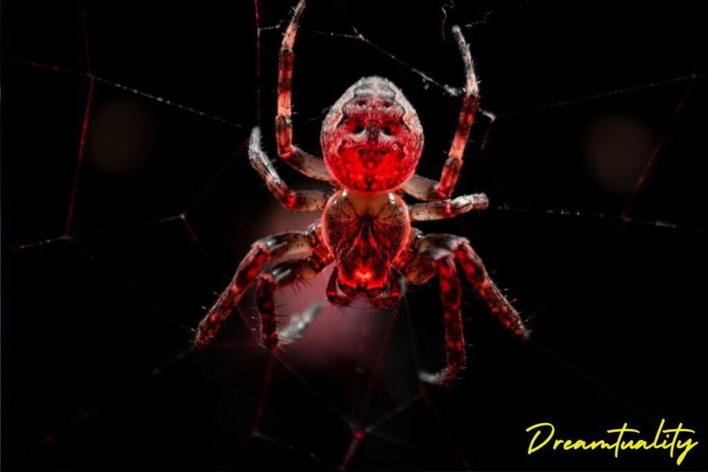 Spiritual meanings of seeing red spider