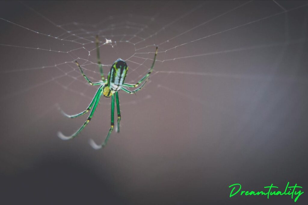 Spiritual meanings of seeing green spider