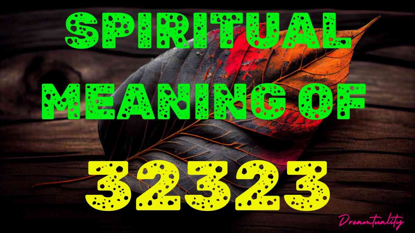 Spiritual meanings of 32323